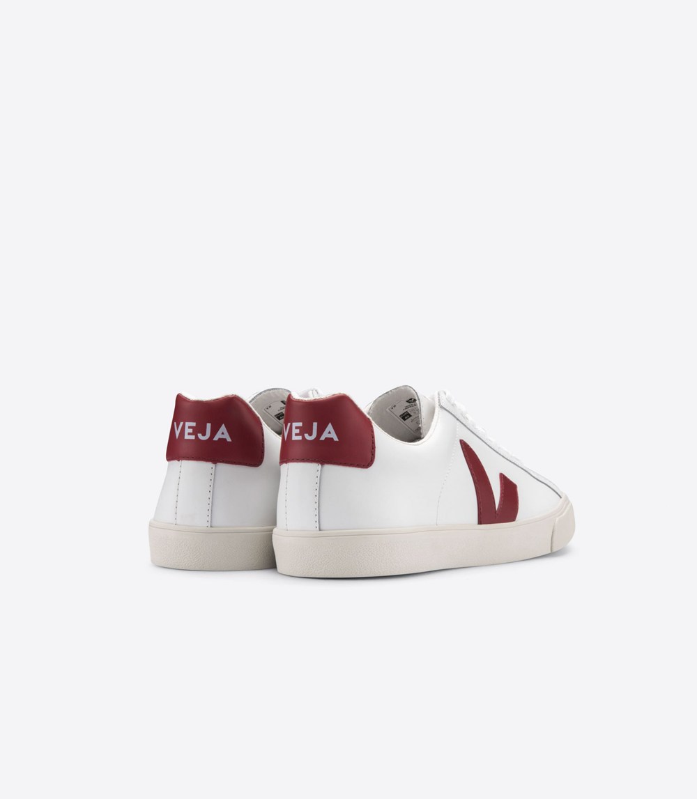 Veja Sneakers Mens - Esplar Leather - White - 5087PWUTM